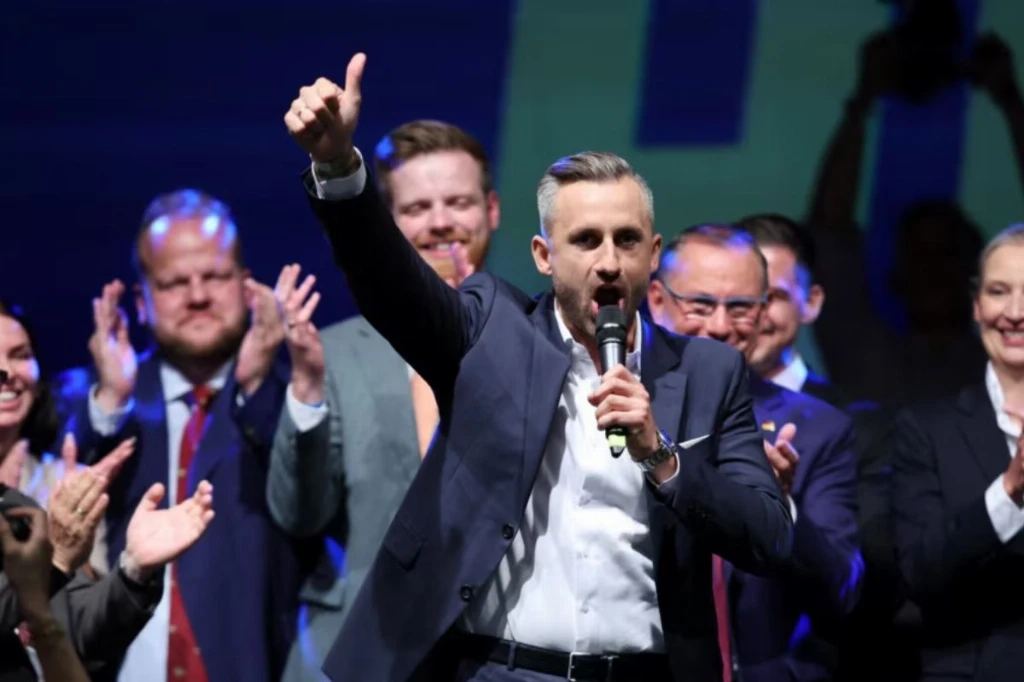 AfD перемогла у Саксонії-Ангальт, абсолютної більшості немає